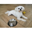 Castron Metalic pentru hranire animale de companie - 22cm