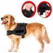 Ham pentru caini SENIOR DOG L (70 - 90cm)
