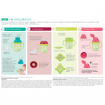 Cana de baut  4 in 1 Colours & Flavours