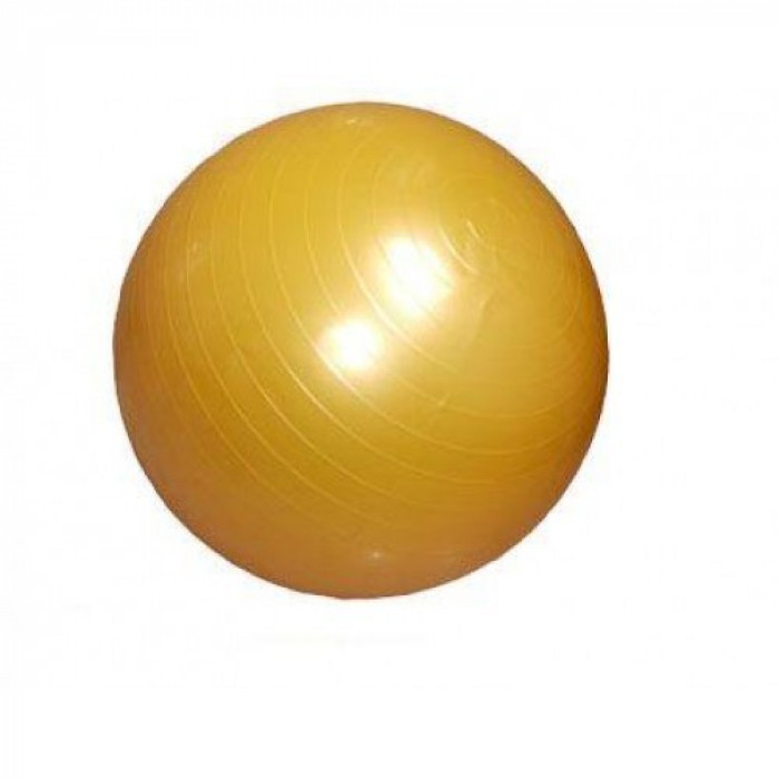 Minge gimnastica Nativ Sport 55 cm