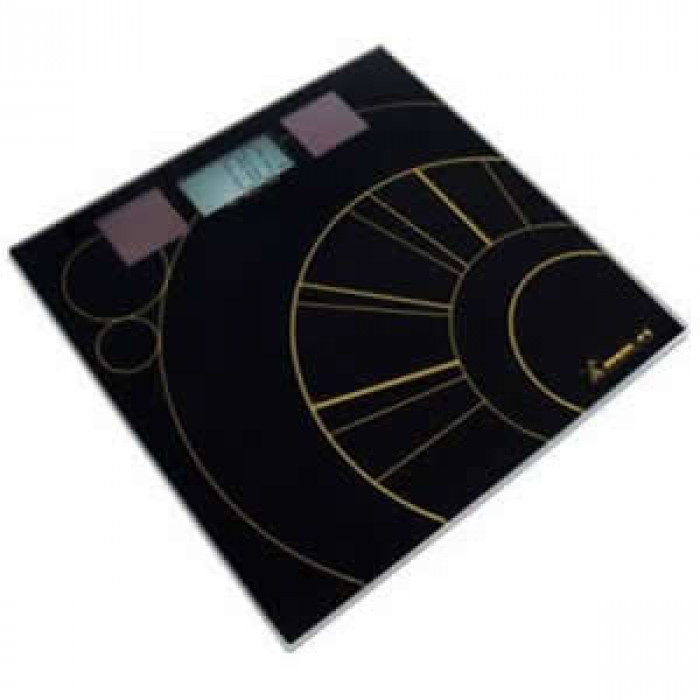 Cantar digital solar Momert 5864