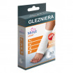 Glezniera elastica Minut