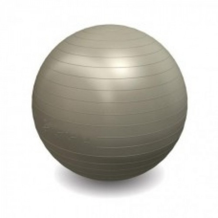 Minge gimnastica Nativ Sport 65 cm