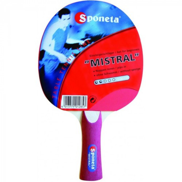 Paleta Sponeta Mistral