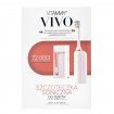 Periuta de dinti electrica VITAMMY Vivo, model premium, 72000 vibratii/min, 3 moduri de periaj, rezistenta la apa, Alb