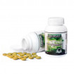 GLUCOPLANT supliment nutritiv adjuvant in remediu diabetului, 2 x 60 comprimate