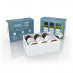 Set uleiuri esentiale Health, Optima Natura, 3 buc x 10 ml, pentru o sanatate mai buna