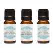 Set uleiuri esentiale Winter, Optima Natura, 3 buc x 10 ml, pentru vreme rece