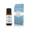 Ulei esential de Brad Siberian, Optima Natura, 10 ml, antiinflamator, antiseptic si antifungic