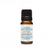 Ulei esential de Cuisoare, Optima Natura, 10 ml, pentru nevralgie, reumatism, oboseala