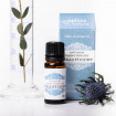 Ulei esential de Eucalipt, Optima Natura, 10 ml, pentru raceala, tuse si inflamatii ale pielii