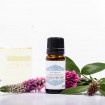 Ulei esential de Lavanda, Optima Natura, 10 ml, pentru insomnii, migrene, calmare