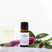 Ulei esential de Rosewood (lemn de trandafir), Optima Natura, 10 ml, pentru migrena, depresie, tuse cronica