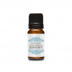 Ulei esential de Pin, Optima Natura, 10 ml, pentru tuse, sinuzita, astm