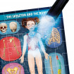 Puzzle radiografia corpului uman Headu