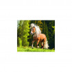 Puzzle copii si adulti Cal pe pajiste 1000 piese Ravensburger