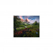 Puzzle copii si adulti Vale de munte 1000 piese Ravensburger