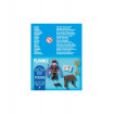 Figurina vrajitoare Playmobil