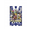 Figurine baieti seria 17 Playmobil