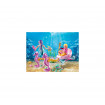 Set trasura cu caluti de mare Playmobil Magic