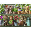 Puzzle pisici pe raft 500 piese Ravensburger