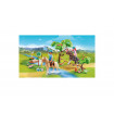 Calareti la rau Playmobil Spirit
