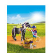 Ingrijitor si Ponei cu stelute Playmobil Country