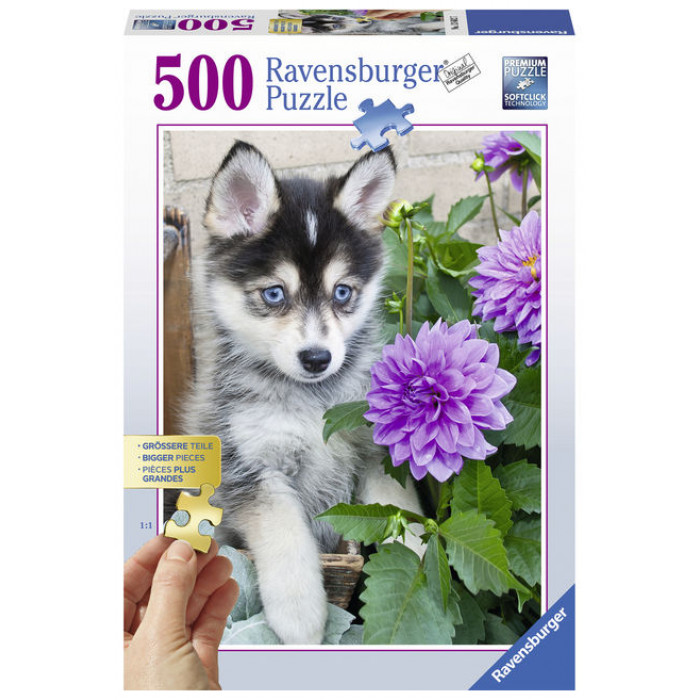 Puzzle Catel Husky 500 piese Ravensburger