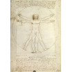 Puzzle copii si adulti Da Vinci 1000 piese Ravensburger