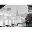 Puzzle copii si adulti Paris 1000 piese Ravensburger