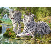 Puzzle pisica Mare alba 500 piese Ravensburger