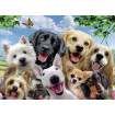 Puzzle Cateii incantati 300 piese Ravensburger