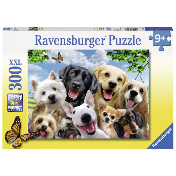 Puzzle Cateii incantati 300 piese Ravensburger