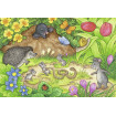 Puzzle gradina 2X12 piese Ravensburger