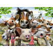 Puzzle poza animale 300 piese Ravensburger