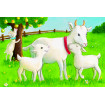 Puzzle ferma mea 6 piese Ravensburger