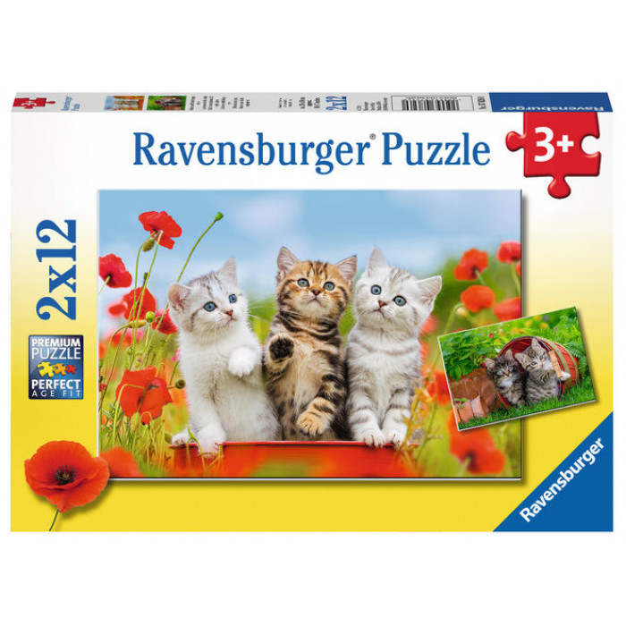 Puzzle aventura pisicutelor 2X12 piese Ravensburger