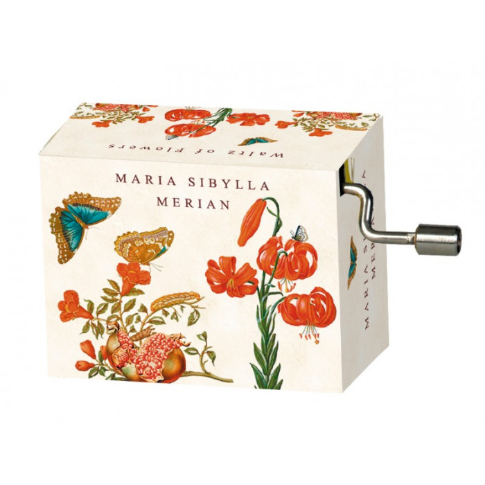 Flasneta Maria Sibylla Merian (fluturi) Tchaikovsky Walts of flowers Fridolin
