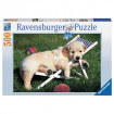 Puzzle Golden Retriever 500 piese Ravensburger