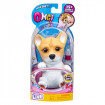 CATELUS OMG - Corgi