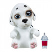 CATELUS OMG - Dalmatian