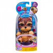 CATELUS OMG - Yorkie