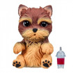 CATELUS OMG - Yorkie
