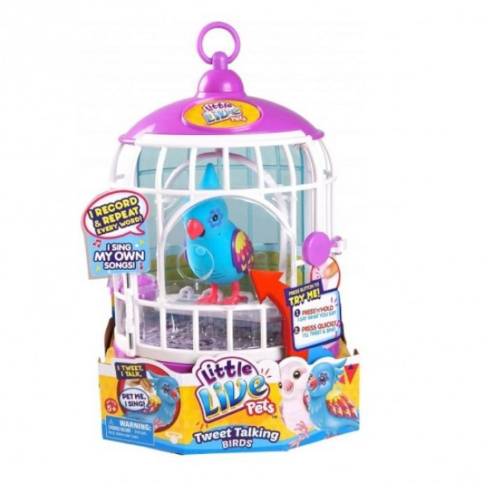 LLP PASARE ELECTRONICA CU CUSCA S3 - Rockin' Ricky