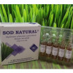 Sod natural , Institutul Cantacuzino , extract orz verde, unic in lume,  pachet cu 6 cutii ,o cutie are 10 fiole