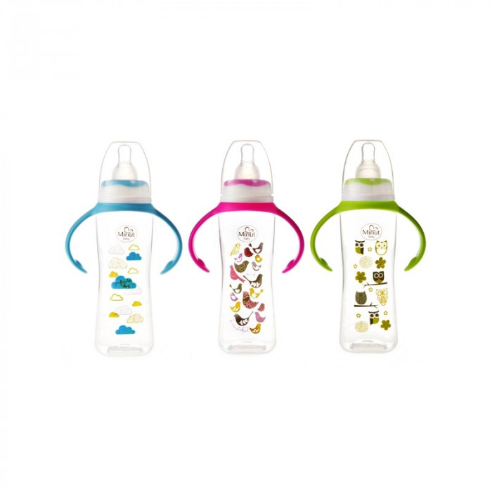 Biberon cu manere 250 ml si tetina silicon 6+