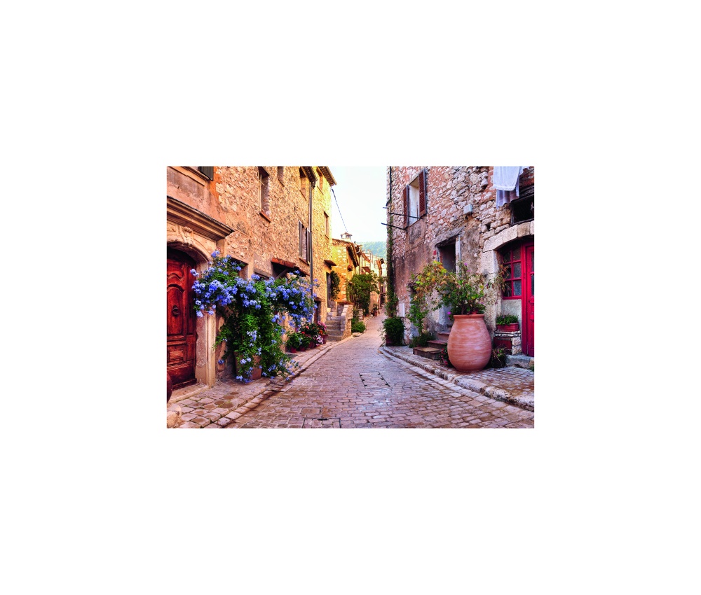 Puzzle adulti si copii franta 1000 piese ravensburger