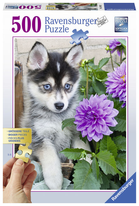 Puzzle catel husky 500 piese ravensburger