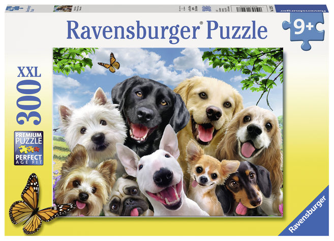 Puzzle cateii incantati 300 piese ravensburger