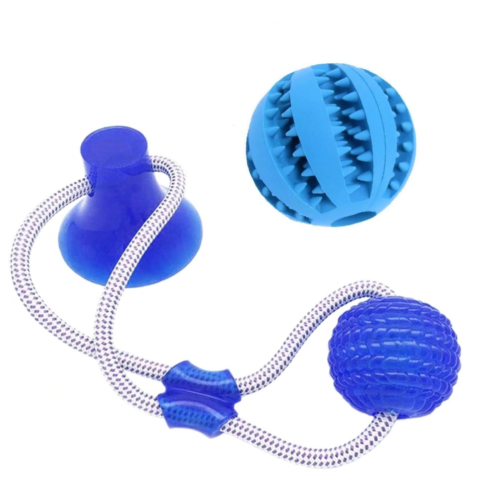 Set de jucarie cu ventuza si minge hranitoare pentru caini, pentru intretinere dinti, aexya, albastru, marimea l